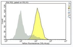 CD11b/CD18, Mouse anti-Human, Non-human Primate, Clone: mAb107, Millipore Sigma 25 &mu;g | Buy Online | MilliporeSigma | Fisher Scientific